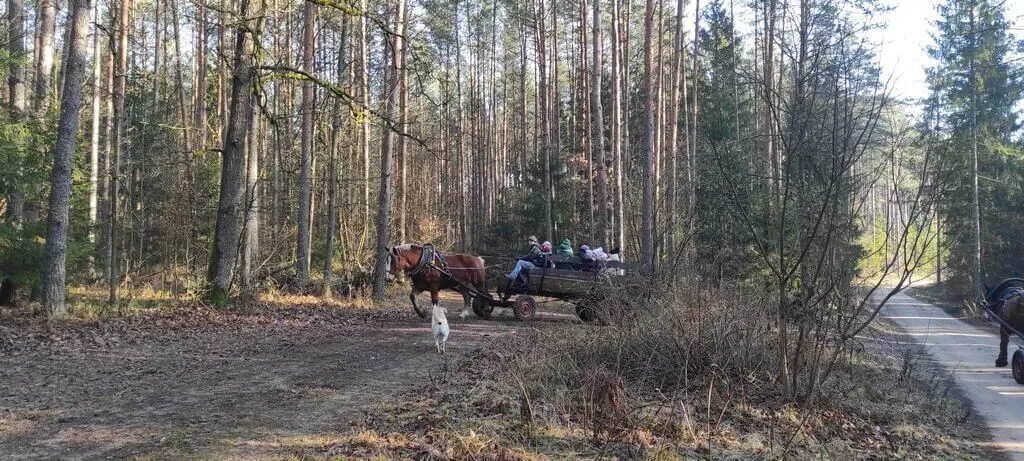 Zimowe Półkolonie 2025