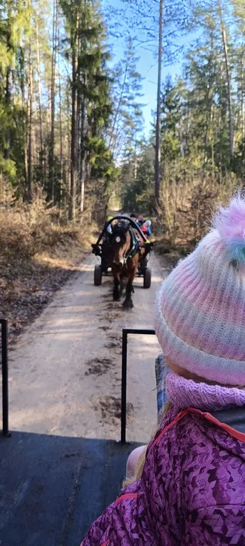 Zimowe Półkolonie 2025