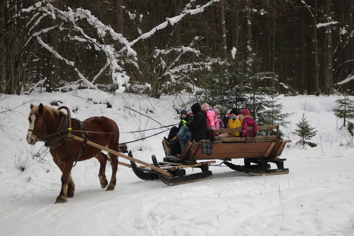 Kulig z saniami - zimowe półkolonie