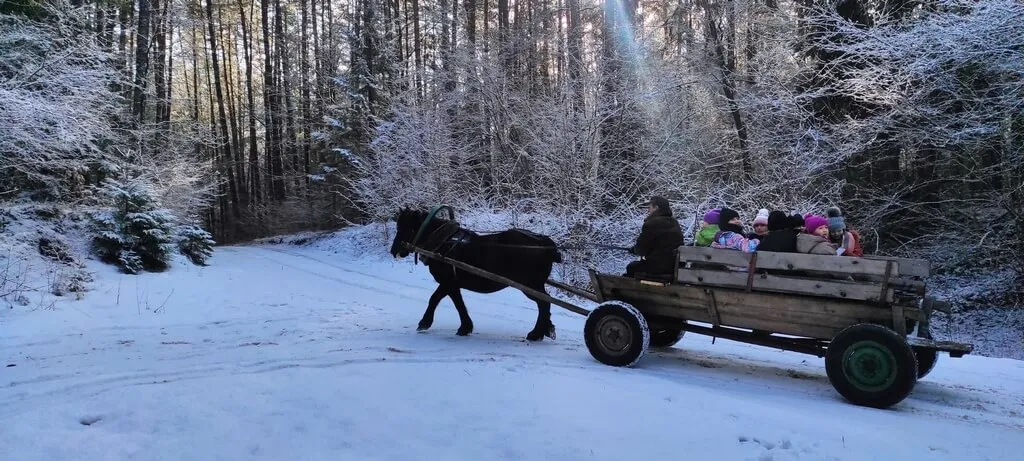 Półkolonie Zimowe 2025 - Język Angielski Dla Dzieci Białystok